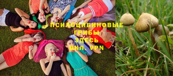 стаф Богородицк
