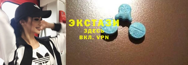 стаф Богородицк