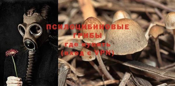 первитин Богданович